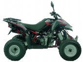 2011 Triton Baja 250 photo